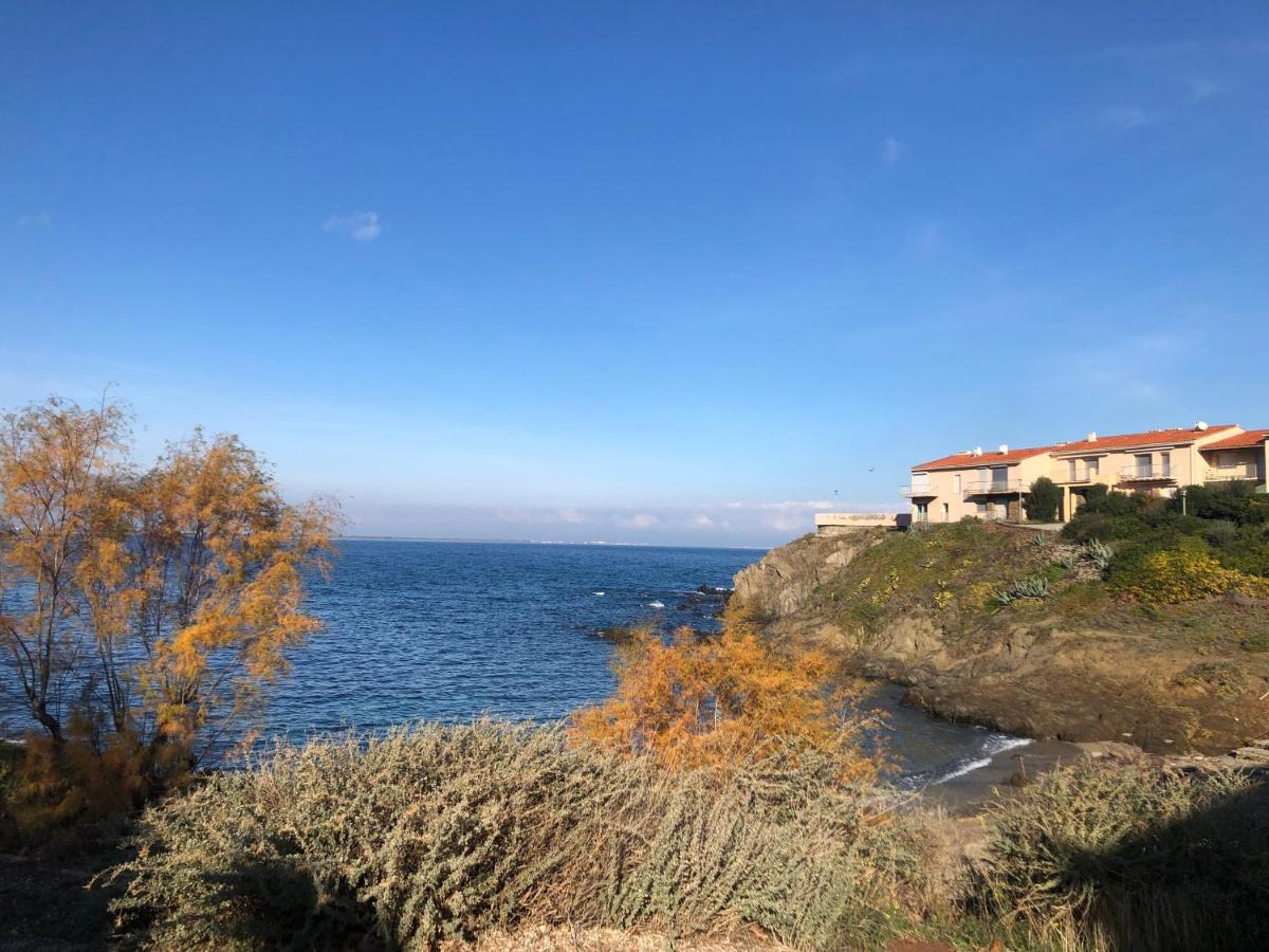 Appartement Vue Mer Les Pieds Dans L'Eau Collioure Eksteriør bilde